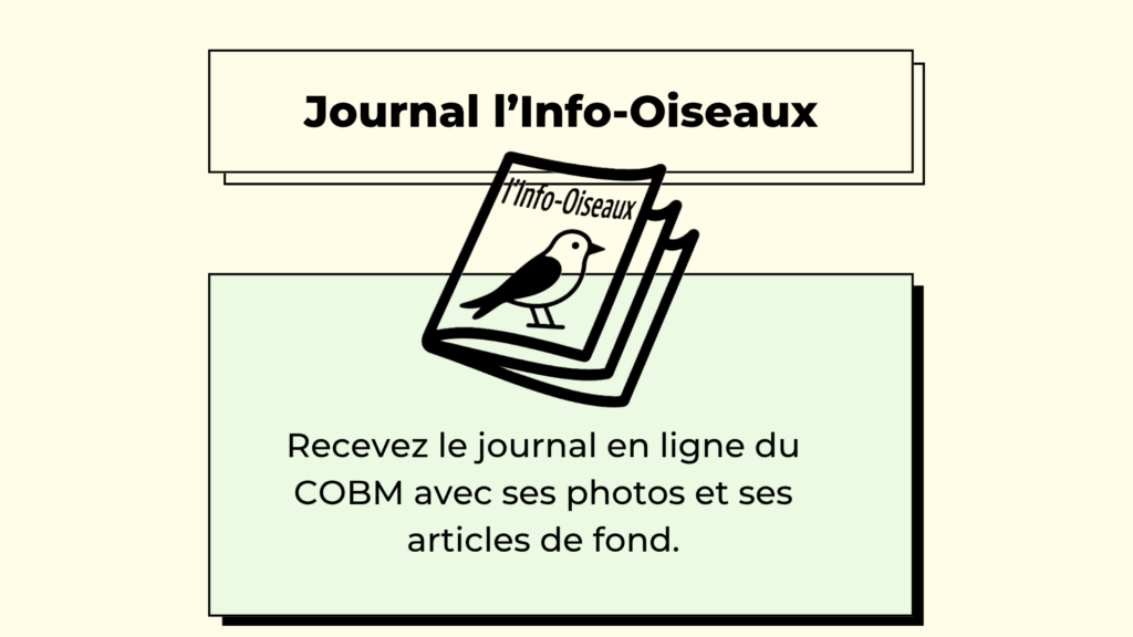Journal l'Info-oiseaux1
