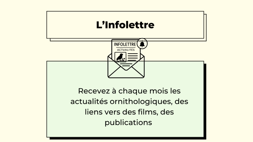 L'Infolettre1