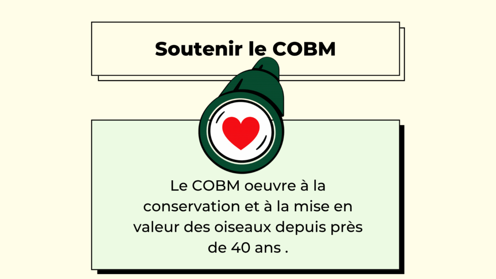 Soutenir le COBM1